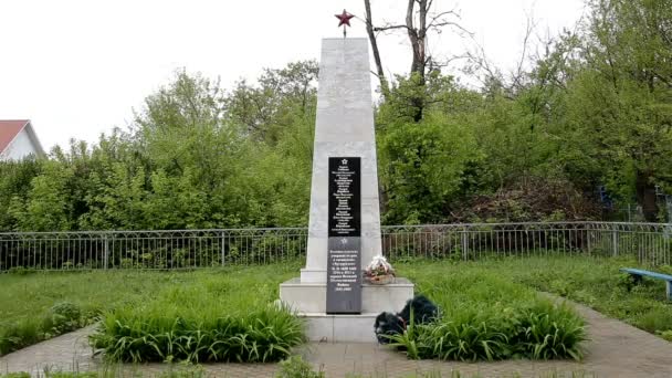 Monumento al Ejército Rojo de tiro mediano en el cementerio — Vídeo de stock