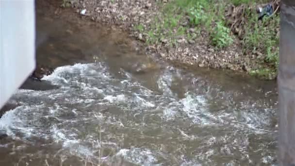 Close up shot small river flows through the forest — Stock Video