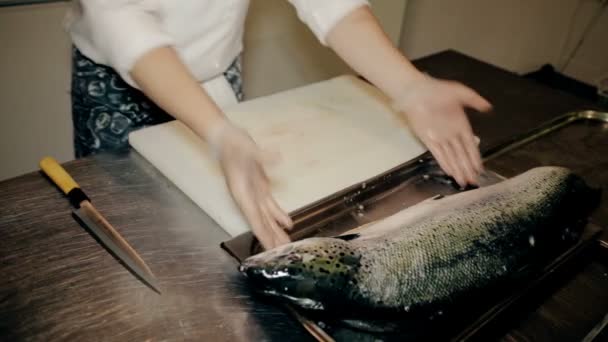 Meados de tiro o cozinheiro cortar peixe vermelho fresco — Vídeo de Stock