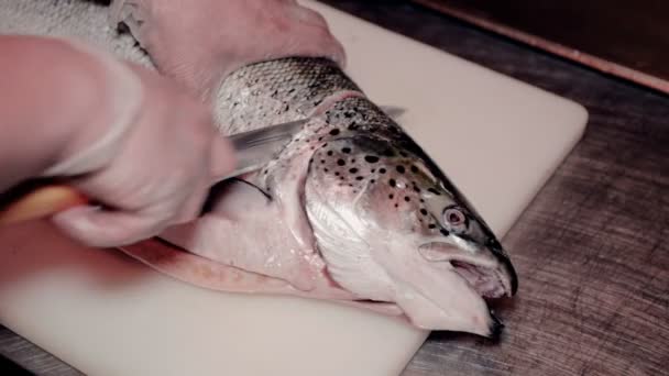 Close up shot il cuoco tagliare pesce rosso fresco — Video Stock