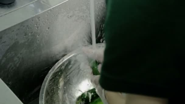 Крупным планом мыть свежий зеленый огурец — стоковое видео