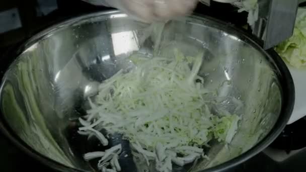 Close up shot slice iceberg salad — Stock Video