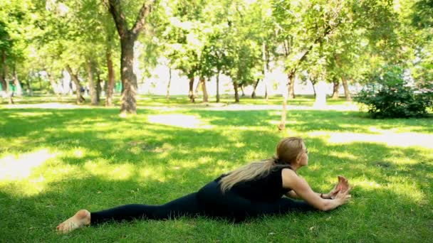 Brede shot jonge vrouw doen yoga in park — Stockvideo