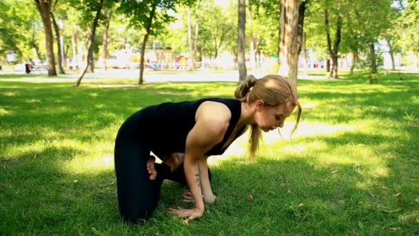 Brede shot jonge vrouw doen yoga in park — Stockvideo