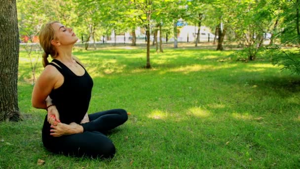 Yoga park yaparken geniş çekim genç kadın — Stok video