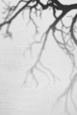 Gölge dokulu gri beton duvar