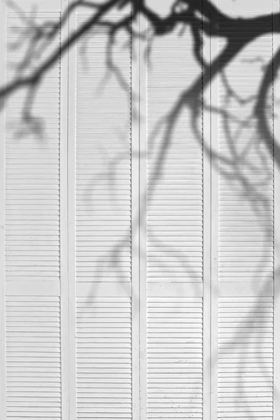 Mur en bois gris avec texture d'ombre — Photo