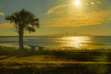 Sunshine Skyway Köprüsü şafak vakti Tampa Körfezi boyunca zarif bir şekilde uzanır. Yeni gün başlarken yumuşak altın ışıkla yıkanır. Sakin suda hafif dalgalanmalar sabah gökyüzünün canlı renklerini yansıtıyor, sakin ve huzurlu bir deniz manzarası yaratıyor.. 