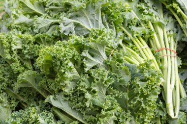 Bu resimde canlı sebzeler sergilenen taze salata sebzeleri hareketli bir çiftçi pazarında sergileniyor. Gıcır gıcır dokular ve doğal renkler, yerel kaynaklı organik ürünlerin cazibesini vurguluyor. Yumuşak doğal ışığa kapılmış, 