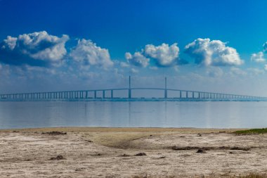 Diğer deniz kuşlarıyla çevrili pelikan St. Petersburgh Florida 'daki sel bariyerinde oturuyor.