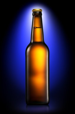 Bira veya koyu mavi arka plan üzerinde izole elma şarabı şişe