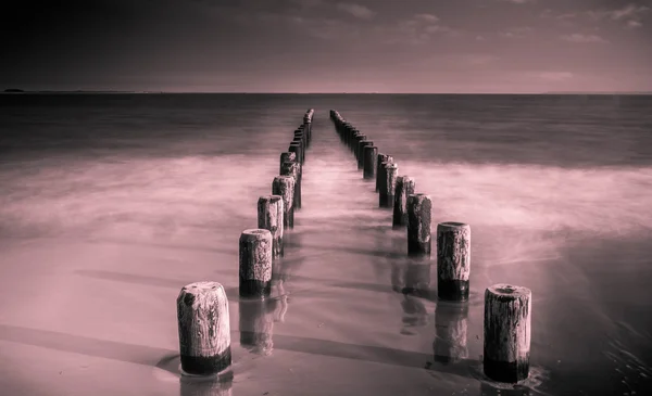 Perspektif - siyah ve beyaz Coney Adası