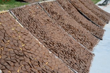 Keropok ikan, balık krakerlerinin, Endonezya 'dan gelen, haşlanmış ve kurutulmuş un ve balık etinden yapılan balık ve baharatlardan elde edilen derin krakerlerdir..