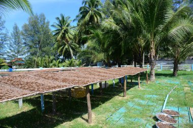  Keropok ikan, balık krakerlerinin, Endonezya 'dan gelen, haşlanmış ve kurutulmuş un ve balık etinden yapılan balık ve baharatlardan elde edilen derin krakerlerdir..