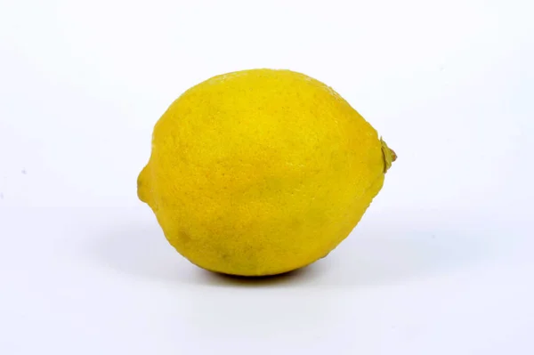 Citrus Limon Uma Espécie Anfíbio Caudado Pertencente Família Rutaceae — Fotografia de Stock