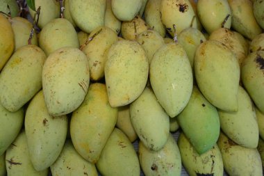 Yeşil mango grubu, dikkatinizi çekerim. Sığ alan derinliği olan odak noktasını seçin.