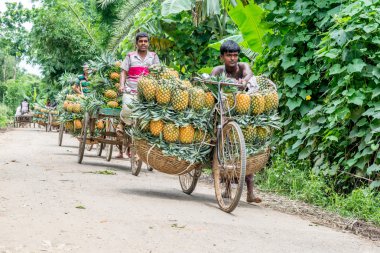 ananas satıcı fotoğraf