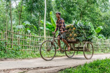 ananas satıcı fotoğraf
