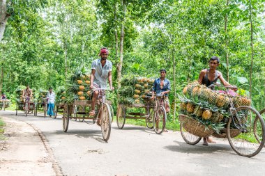 ananas satıcı fotoğraf