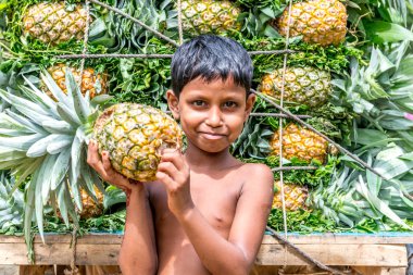 ananas satıcı fotoğraf
