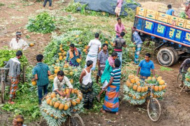 ananas satıcı fotoğraf