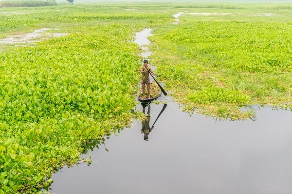 Çiftçi nilüfer alıyor 