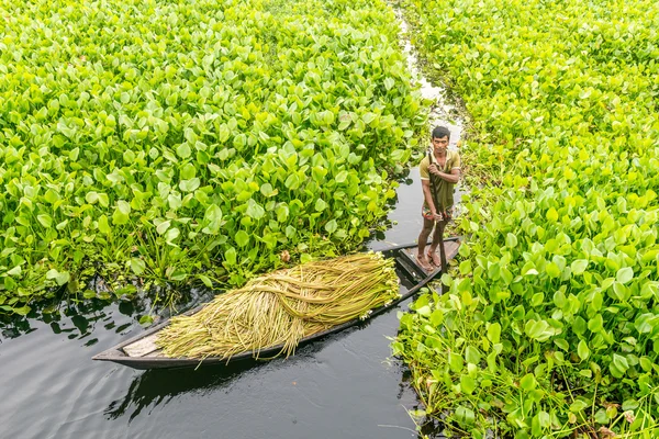 Plyajdagi mushukdan mushukgacha fotosuratlar Plyajdagi mushukdan mushukgacha fotosuratlar