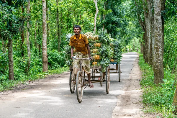 ananas satıcı fotoğraf