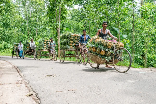 ananas satıcı fotoğraf