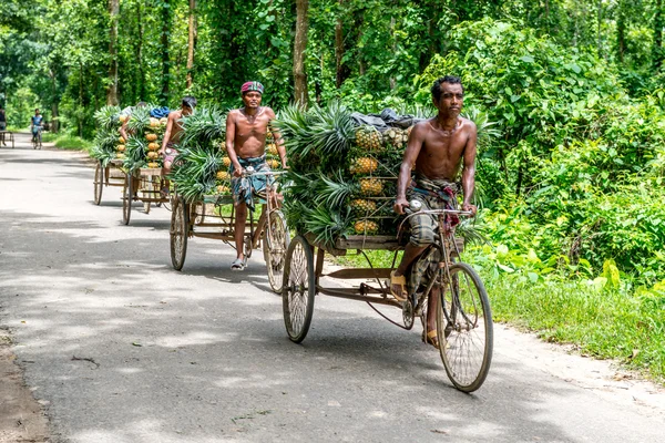 ananas satıcı fotoğraf