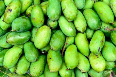 Maldivler güzel su Villa kazık su