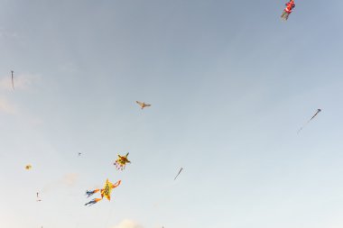 uçurtma gökyüzü stok fotoğraf