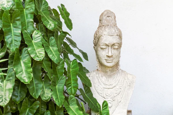 Estatua de Buda con vistas a la selva stock foto — Foto de Stock
