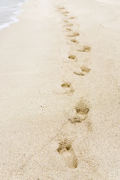 sand footprints stock photo