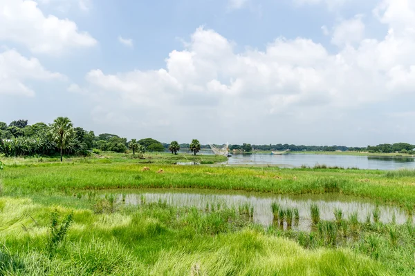 Green nature landscape — Stock Photo, Image