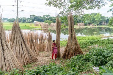 insanlar jüt işleniyor