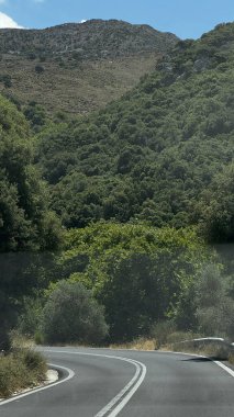 Yunanistan 'da yeşilliklerle çevrili dolambaçlı bir yolun huzurlu manzarası.