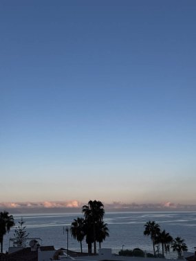 Sakin okyanusun üzerindeki yumuşak mavi alacakaranlık gökyüzü, Tenerife kıyısındaki palmiye ağaçlarının siluetleri tarafından çerçevelenmiş. Yüksek kalite fotoğraf