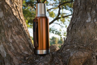bronze thermos bottle is securely placed within the natural V-shape formed by two large tree trunks