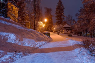 Pelhrimov 2025 'teki Dekan Bahçesi' nin arka planında, F.B. Vanka, sokak lambası, temiz kar örtüsü,