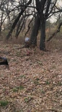 Red-haired girl in white dress and flower wreath poses for photographer.