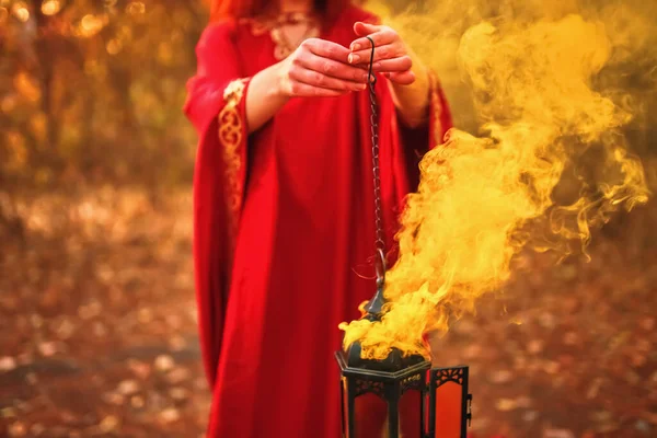 Écran de fumée dans les bois. — Photo