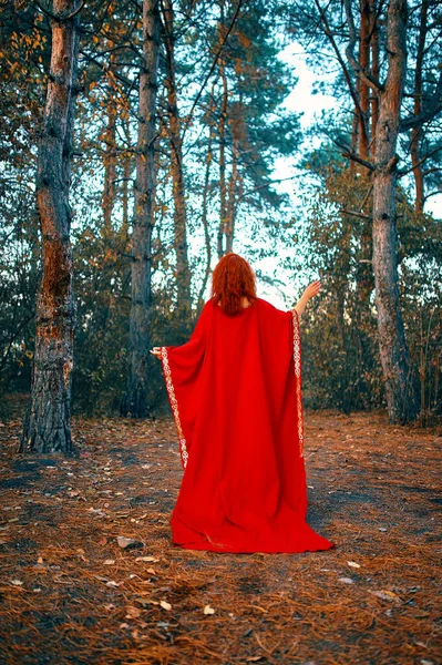 Femme dans la forêt. — Photo