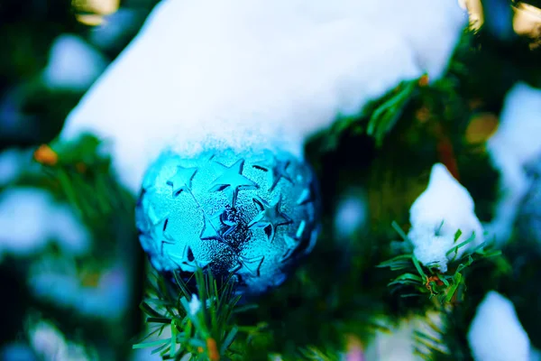 Weihnachtsschmuck an Bäumen Äste mit Schnee. — Stockfoto