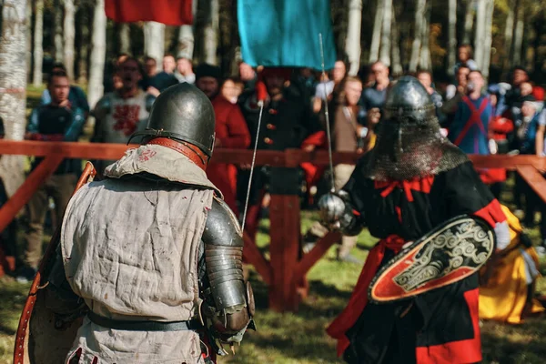 Ritter in Grau gegen einen Ritter mit einem Wolf auf seinem Schild. — Stockfoto