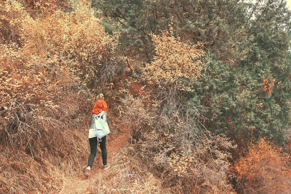 Mulher com mochila caminha ao longo do caminho na floresta nas montanhas. — Fotografia de Stock