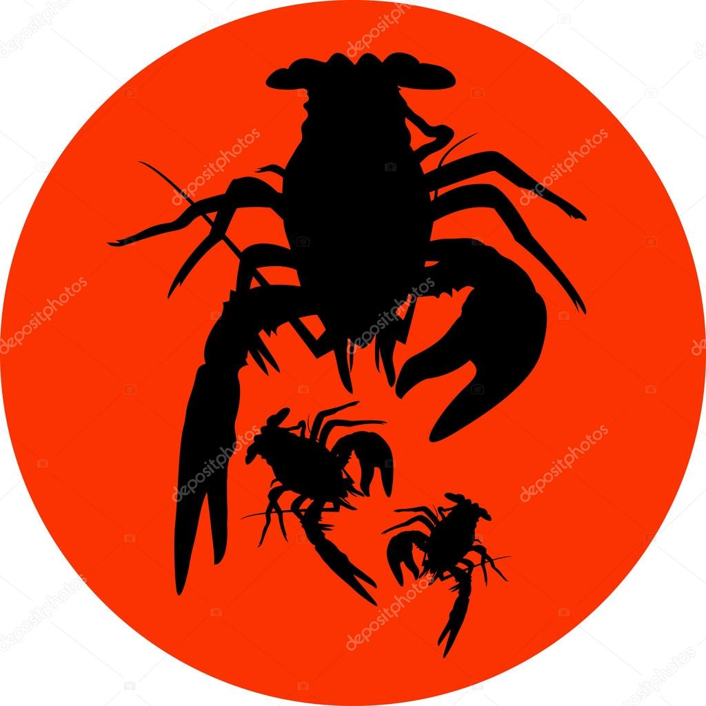 35 Label The Crayfish - Labels 2021