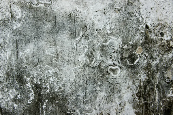 White black gray  texture of the wall — Stock Photo, Image