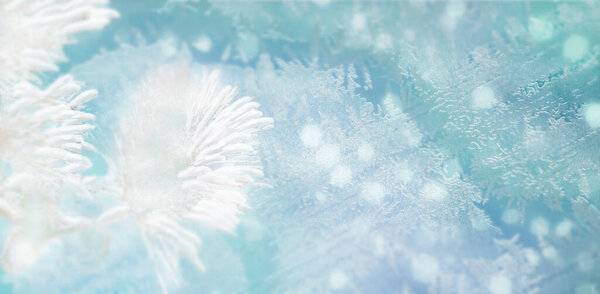 Winter shiny snowflakes blurred background in light colors. Blurry Christmas holiday panoramic background with snowy branch of fir,frost pattern,soft flares of light,snow flakes.Copy space
