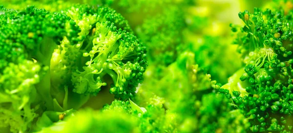 Brokkoli Panorámás Képe Zöld Egészséges Élelmiszer Háttér Növényi Brokkoli Textúra — Stock Fotó